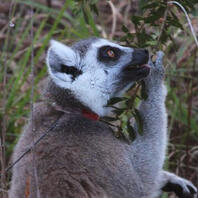 Take me back to the Menu